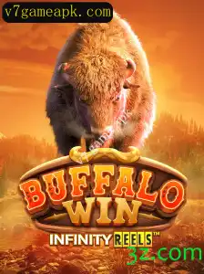 BuffaloWin: Desvendando o Mundo do Jogo e Suas Regras Estratégicas